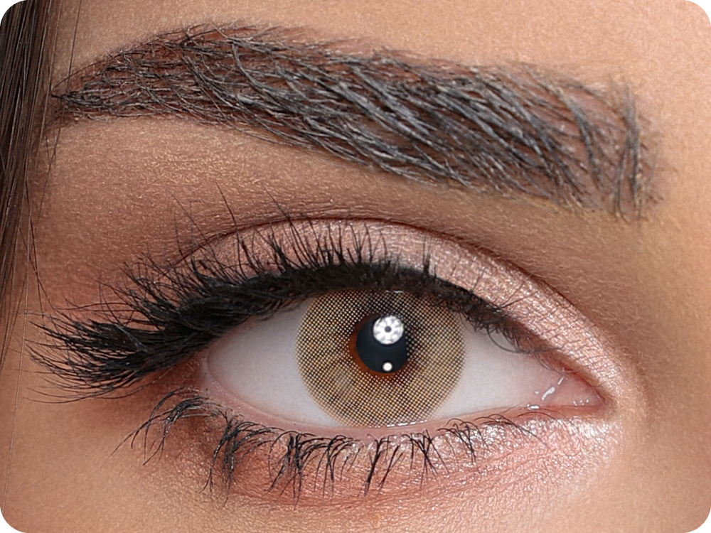 Luminous Hazel - 1 Jahr (pair)