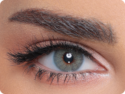Luminous Blue - 1 Jahr (Pair)