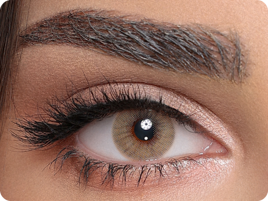 Luminous Hazel - 1 Jahr (pair)