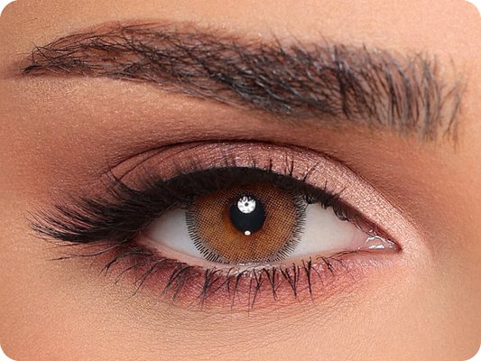 Luminous Latin Brown - 1 Jahr (Pair)